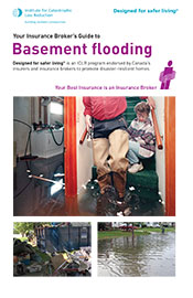 175_Baesmnt_Flooding_Cv_12F3AA0.jpg