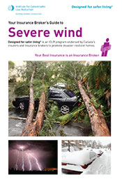 175_Severe_Wind_Cvr_2-5x3-867.jpg