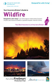 175_Wildfire_Cvr_2-5x3-867.jpg